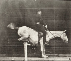 Plate 641 'Pandora' jumping a hurdle, saddled, knocking over the hurdle and landing — figure reference